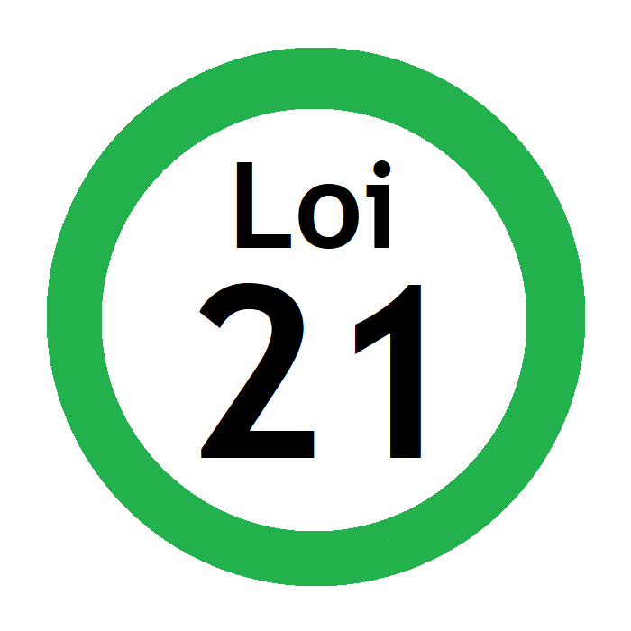 Set of 10 Lapel Pins \"Loi 21\"